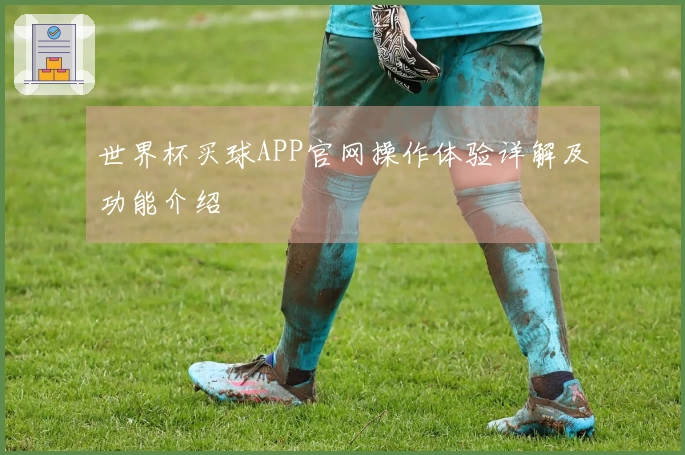 世界杯买球APP官网操作体验详解及功能介绍