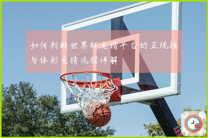 如何判断世界杯竞猜平台的正规性与体彩竞猜流程详解