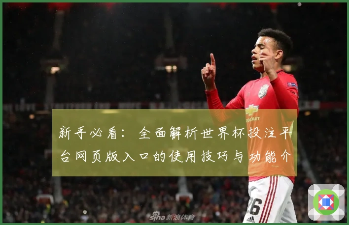 新手必看：全面解析世界杯投注平台网页版入口的使用技巧与功能介绍