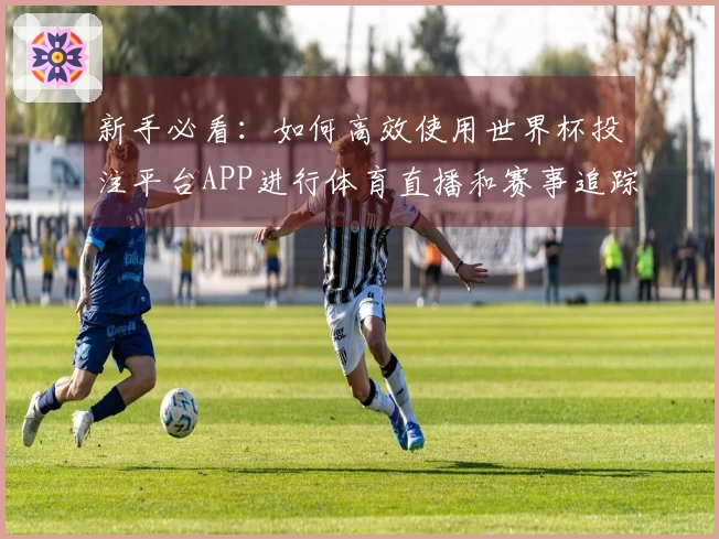 新手必看：如何高效使用世界杯投注平台APP进行体育直播和赛事追踪