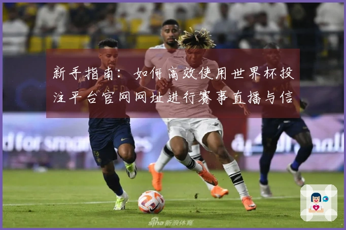 新手指南：如何高效使用世界杯投注平台官网网址进行赛事直播与信息获取
