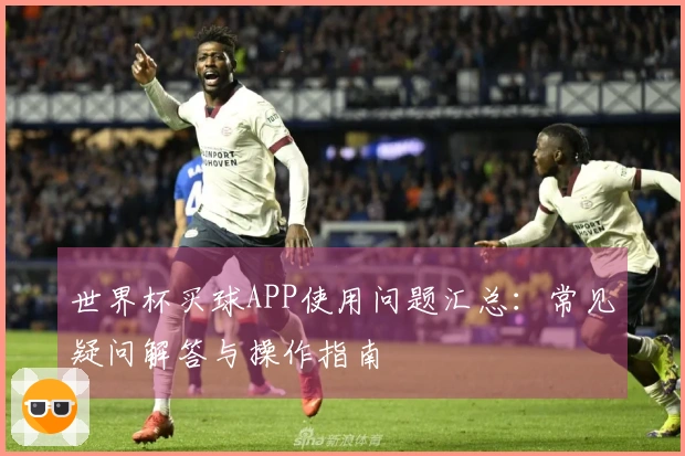 世界杯买球APP使用问题汇总：常见疑问解答与操作指南