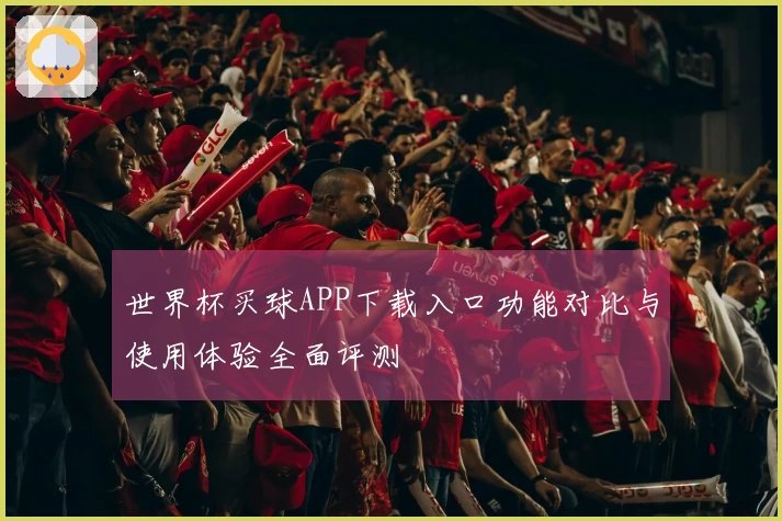 世界杯买球APP下载入口功能对比与使用体验全面评测