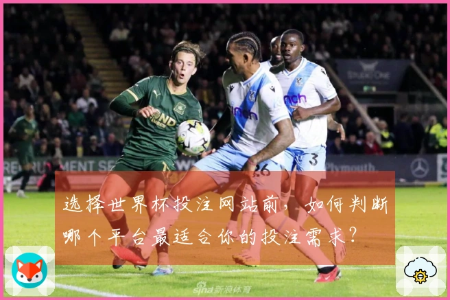 选择世界杯投注网站前，如何判断哪个平台最适合你的投注需求？