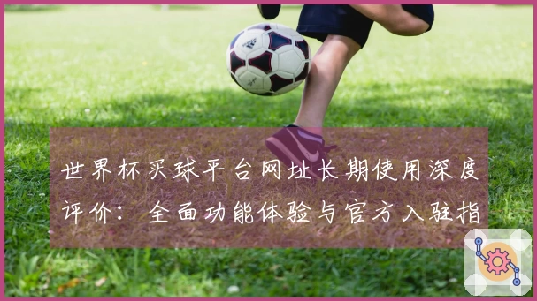 世界杯买球平台网址长期使用深度评价:全面功能体验与官方入驻指引